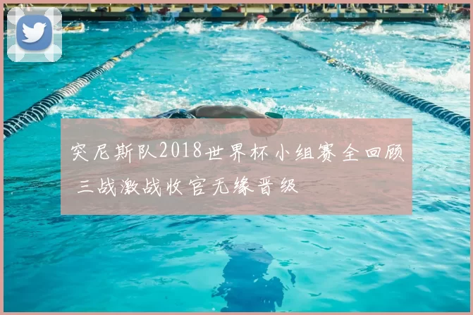 突尼斯队2018世界杯小组赛全回顾 三战激战收官无缘晋级